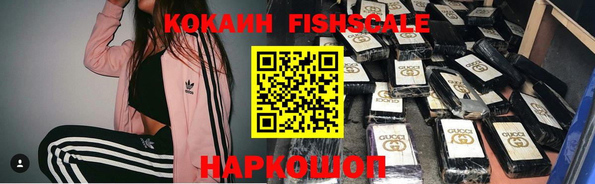 как найти наркотики  Cocaine Fish Scale  Вход с VPN  Фролово 