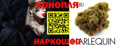 стаф Лесосибирск