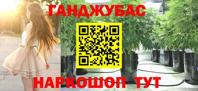 стаф Лесосибирск
