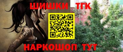 стаф Лесосибирск