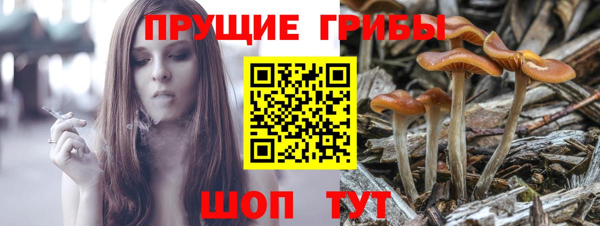 Галлюциногенные грибы Psilocybine cubensis  Вход с VPN  Псилоцибиновые грибы ЛСД  Фролово 