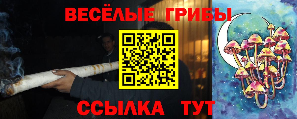 Псилоцибиновые грибы Magic Shrooms Фролово